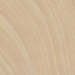 Sandstone Bondi Porcelain Tiles and Pavers tile