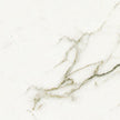 Euromarmo Statuario Venato Honed Marble Look Porcelain Tiles tile