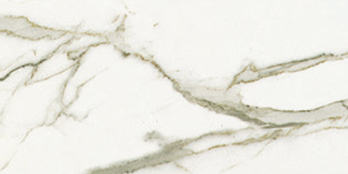 Euromarmo Statuario Venato Marble Look Porcelain Tiles tile