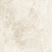 Tundra