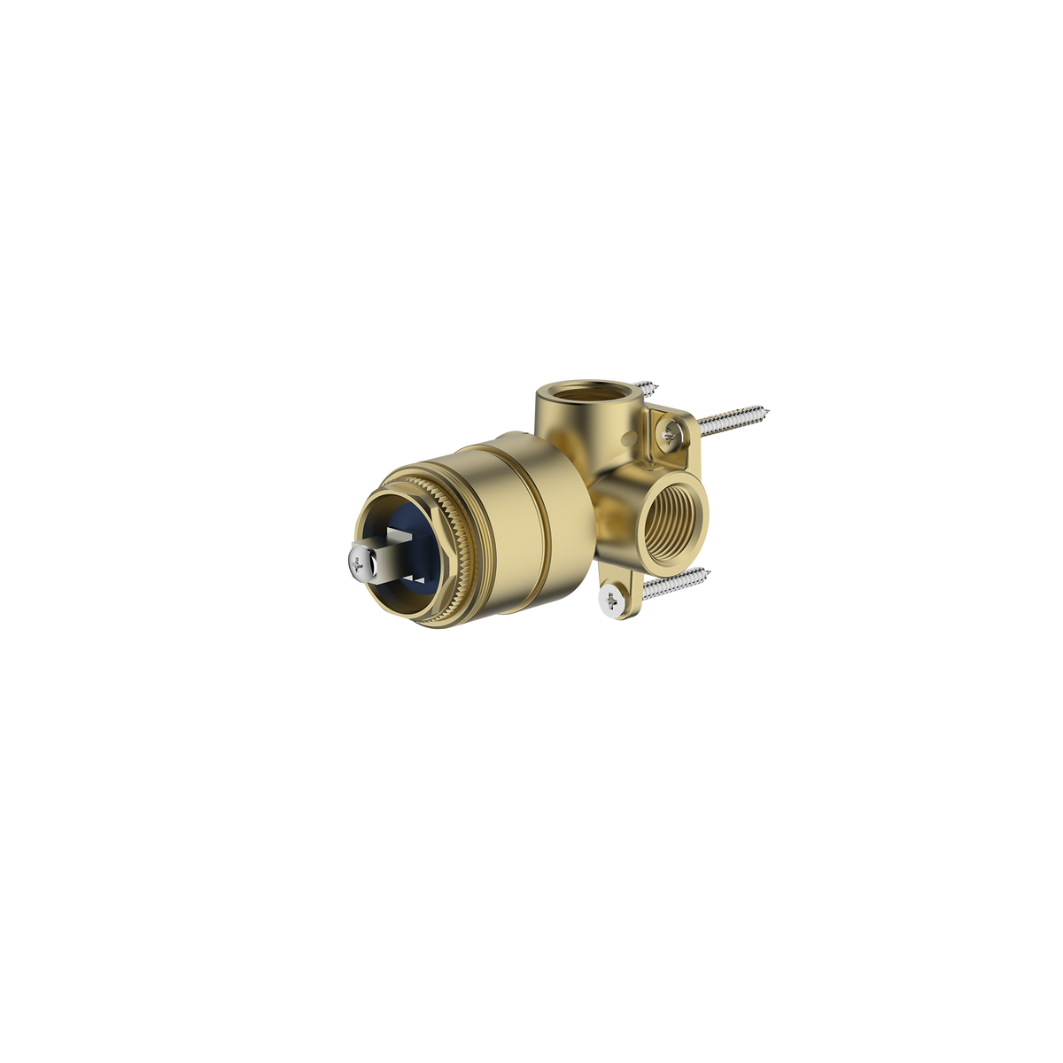 Series 2 Wall Mixer Inwall Body Only