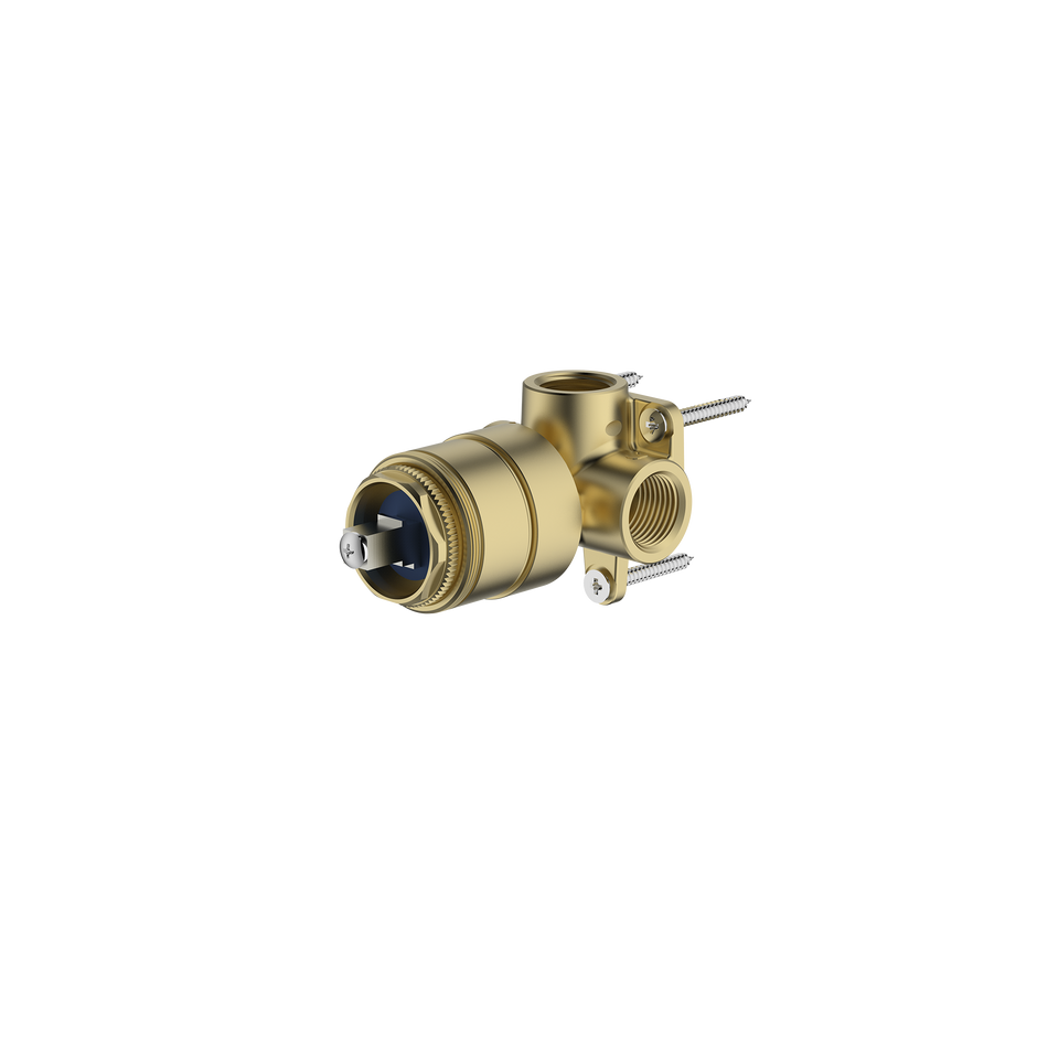 Series 2 Wall Mixer Inwall Body Only