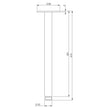 Vivid Ceiling Arm 300mm