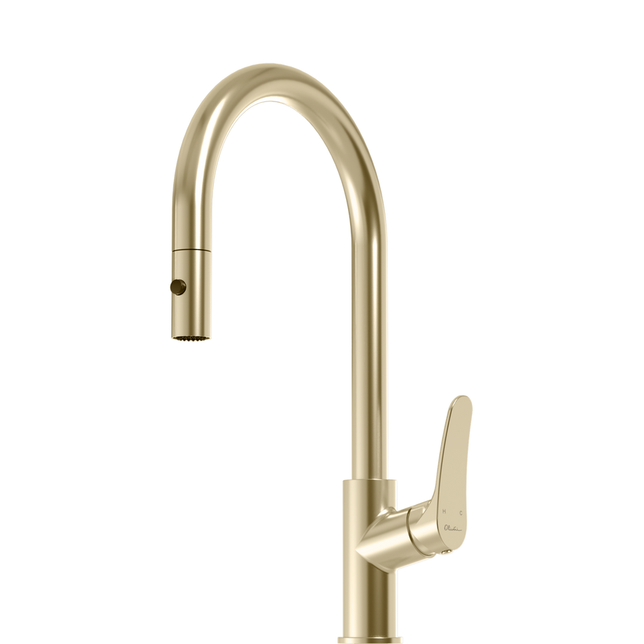 Verona Pull Out Goose Neck Spray Mixer in Classic Gold