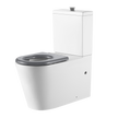 Vienna Back To Wall Care Toilet Suite With Grey Seat and Buttons