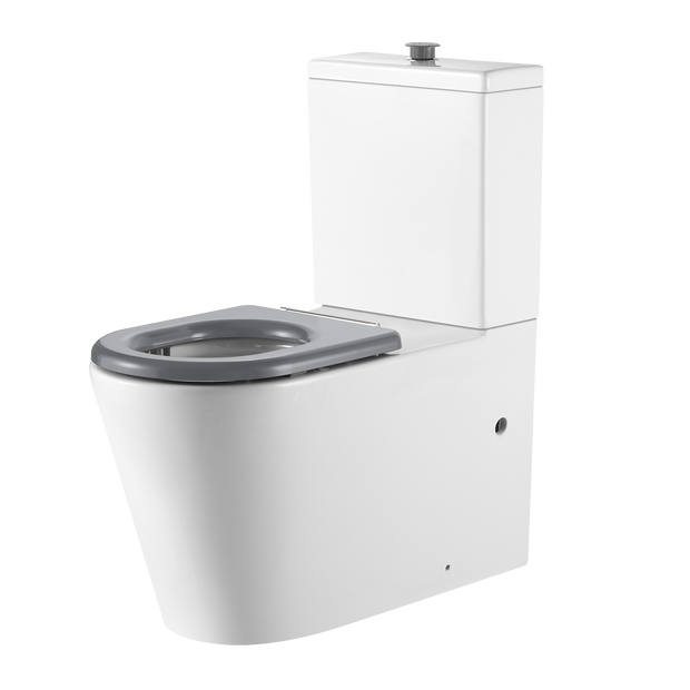Vienna Back To Wall Care Toilet Suite With Grey Seat and Buttons