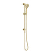Vivid Slimline Water Through Rail Hand Shower