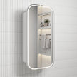Vienna LED Shaving Cabinet
