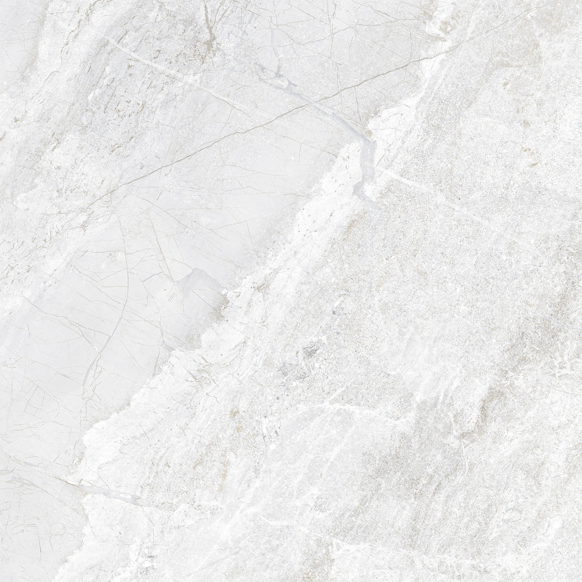 Agathos White Matt Porcelain Tiles tile