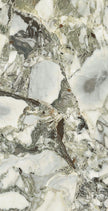 Wonderland White Beauty Marble Look Porcelain Tiles 600x1200mm tile