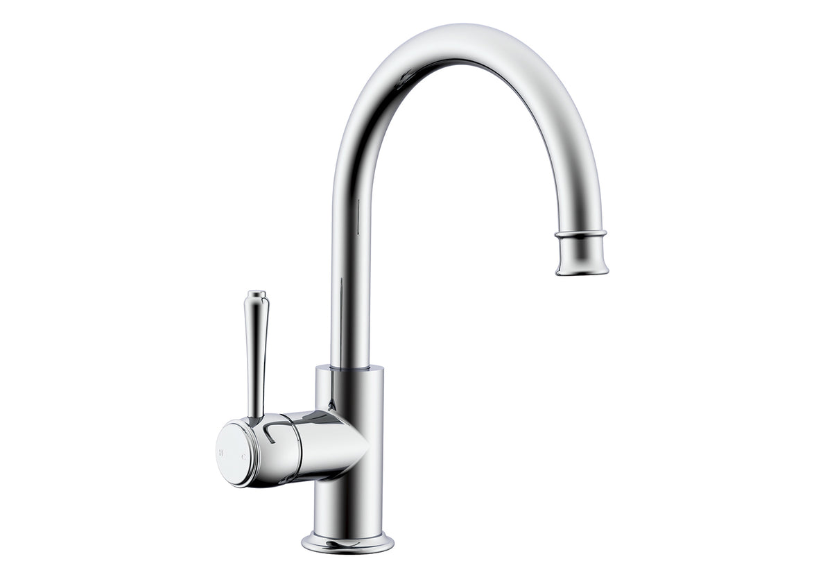 Eternal Gooseneck Basin Mixer in Chrome