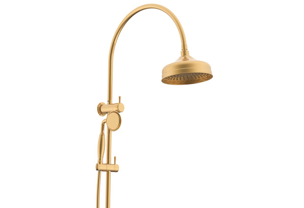 Eternal Gooseneck Twin Shower Set in Brushed Brass