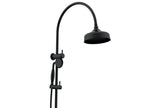 Eternal Gooseneck Twin Shower Set in Matte Black