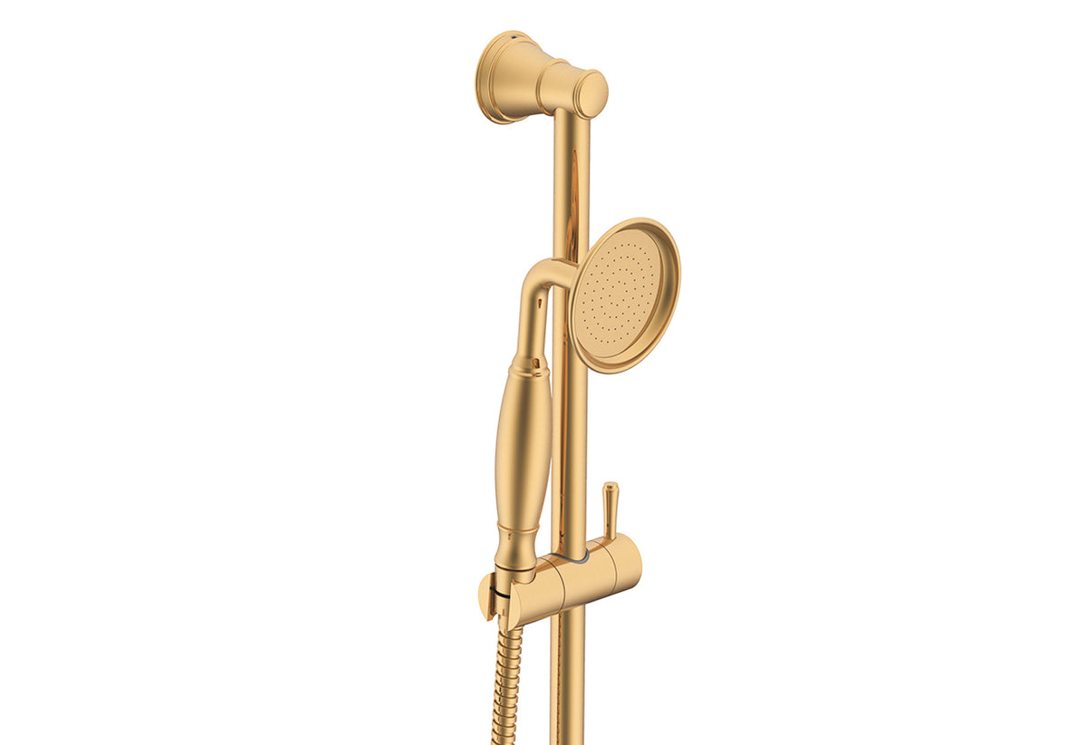 Eternal Hand Shower on Rail in Brushed Brass