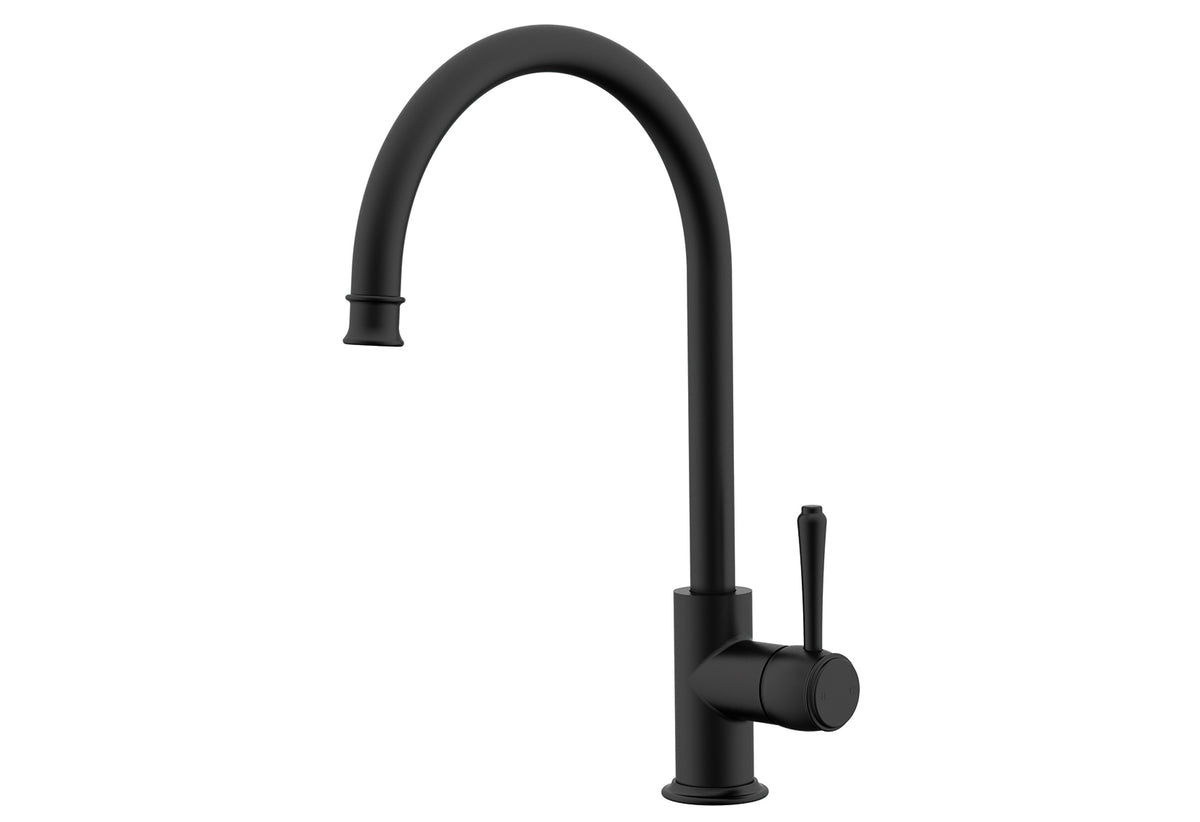 Eternal Kitchen Mixer in Matte Black
