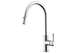 Eternal Pull Out Kitchen Mixer in Chrome