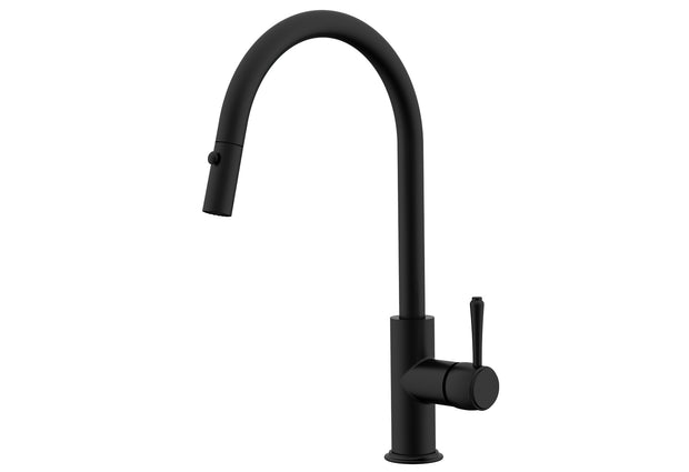 Eternal Pull Out Kitchen Mixer in Matte Black