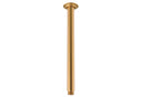 Brushed Brass
