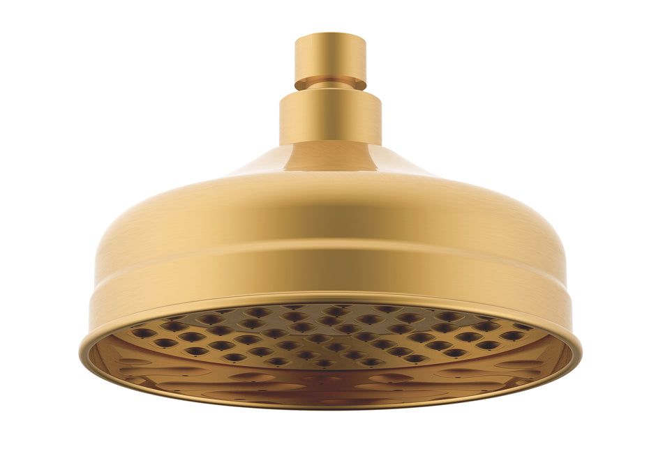 Eternal Shower Rose in Brushed Brass