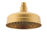 Eternal Shower Rose in Brushed Brass