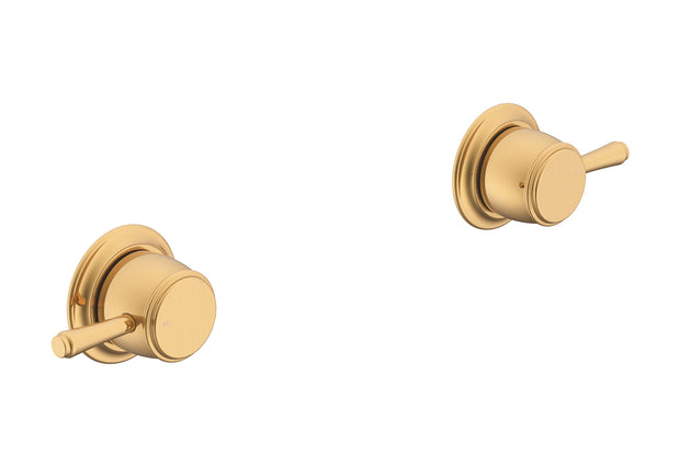 Eternal Wall Top Assembly (Pair) in Brushed Brass