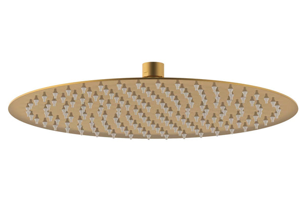 Soul Rain Shower Rose 300mm in Brushed Brass