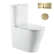 Zenmo Vivo-II Toilet Suite in Brushed Brass