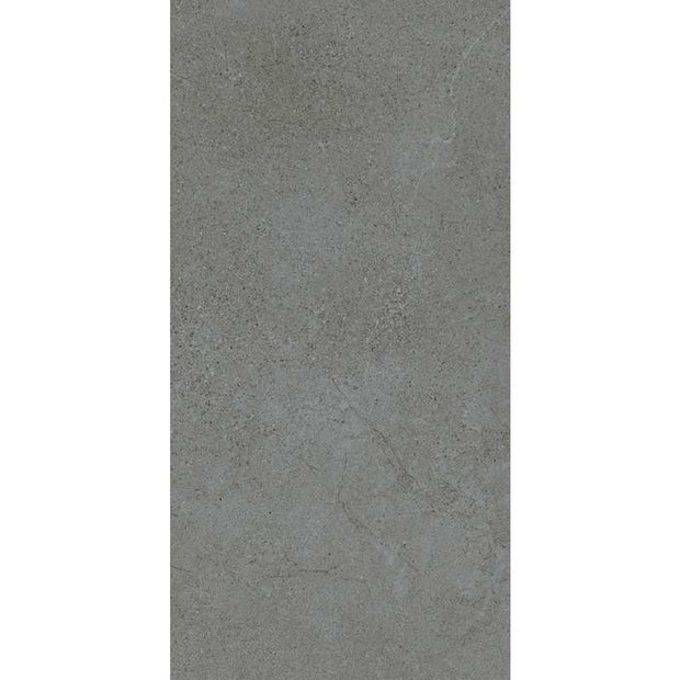 Aspen Charcoal Matt Stone Look Porcelain Tiles 300x600mm tile