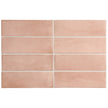 Coco Orchard Pink Matt Porcelain Subway Tiles tile