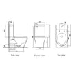 Zenmo Vivo-II Toilet Suite