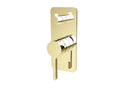 Brushed Brass