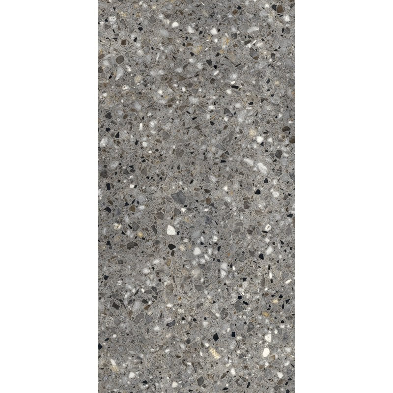 Frammenta Grigio Polished Terrazzo Look Porcelain Tiles 300x600mm tile