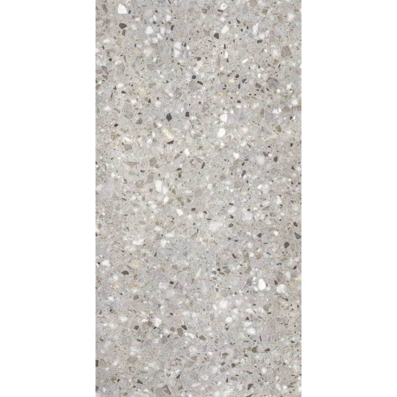 Frammenta Taupe Polished Terrazzo Look Porcelain Tiles 300x600mm tile