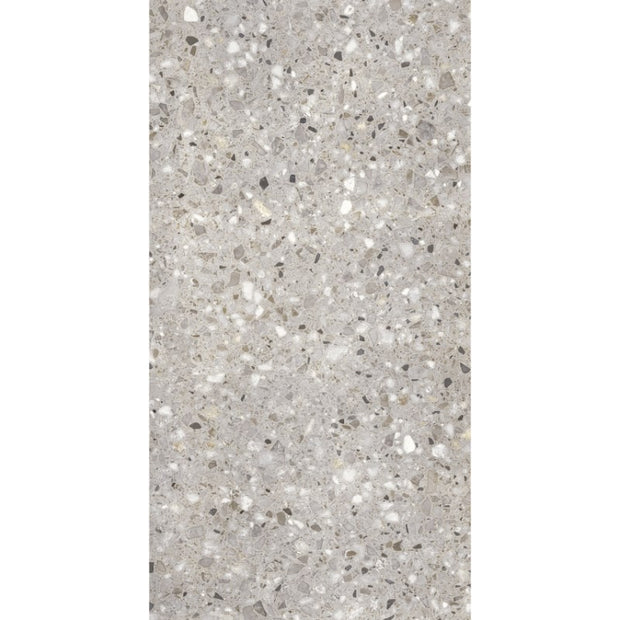 Frammenta Taupe Polished Terrazzo Look Porcelain Tiles 300x600mm tile