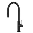 Ikon Linie Pull-Out Sink Mixer in Matte Black