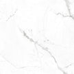 Luna Lux Alpino Bianco Polished Marble Look Porcelain Tiles tile