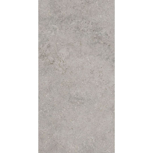 Milano Light Grey Matt Stone Look Porcelain Tiles 300x600mm tile