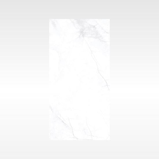 Apex Silver 300x600 Polish