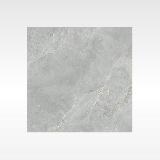 Ionic Silver 300x600 Polish