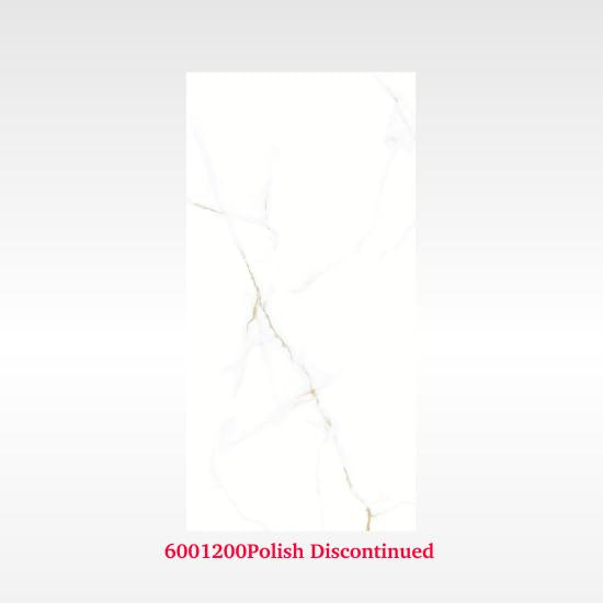 Elegance Silver 300x600 In&Out Solution