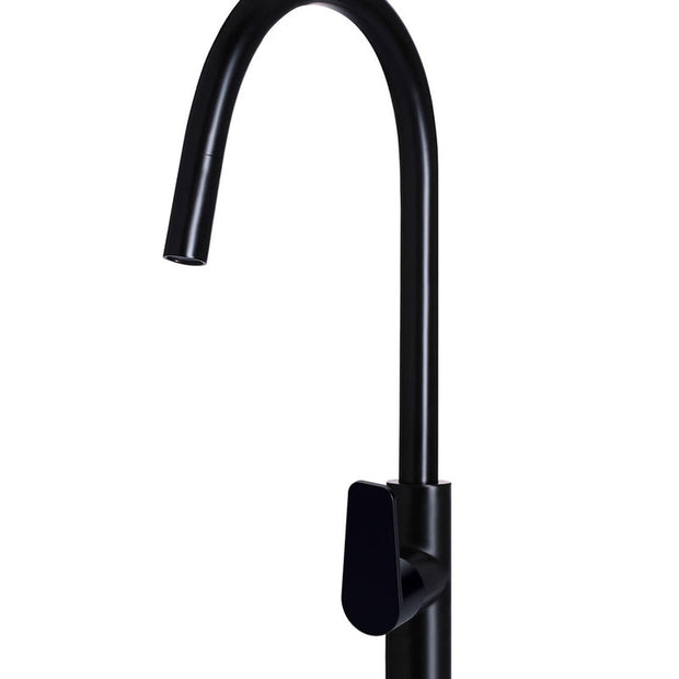 Round Paddle Piccola Pull Out Kitchen Mixer Tap