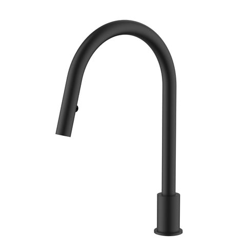 Meir Kitchen hob spout with pull out nozzle