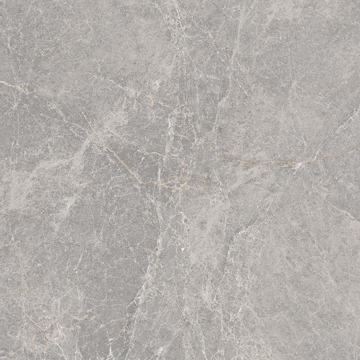 Pietra Leaden 20mm Porcelain Pavers tile
