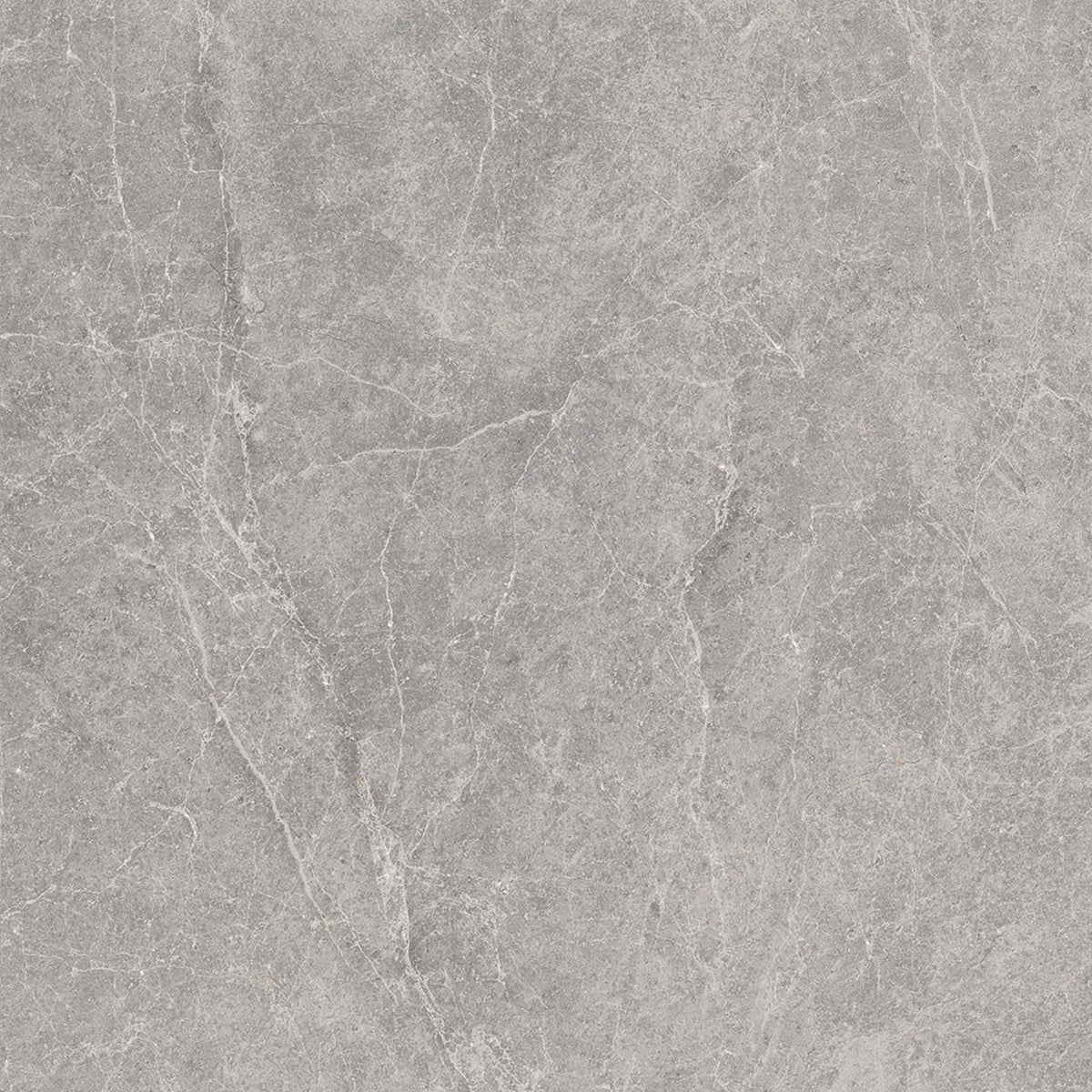 Pietra Leaden Honed Stone Look Porcelain Tiles 600x600mm tile