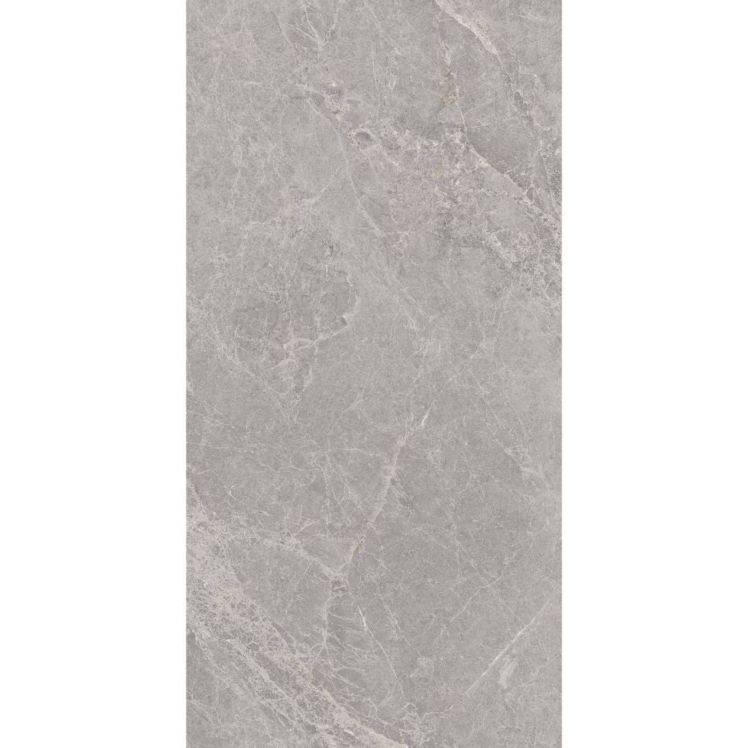 Pietra Leaden Matt Stone Look Porcelain Tiles 600x1200mm tile