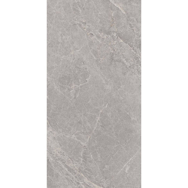 Pietra Leaden Matt Stone Look Porcelain Tiles 600x1200mm tile