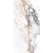 Pisa Gold Polished Marble Look Porcelain Tiles 300x600mm tile