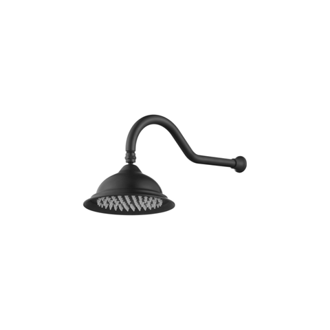 Modern National Bordeaux Shower Arm With Shower Head