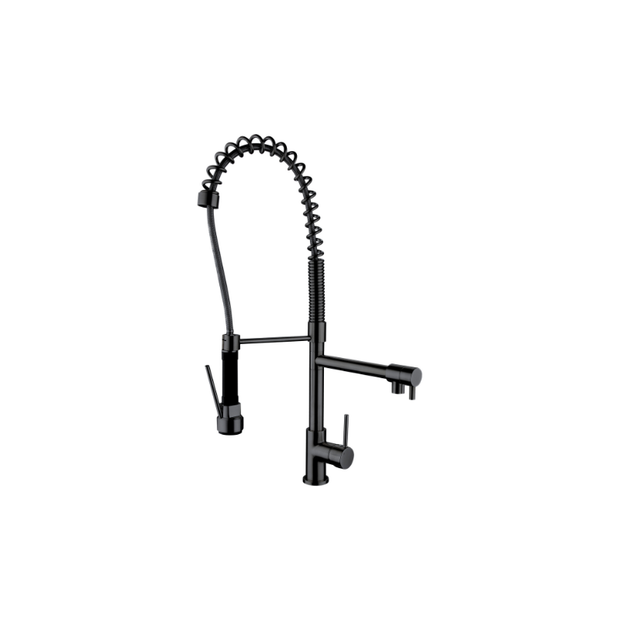 Halo Spring Multi-Function Kitchen Mixer Matte Black