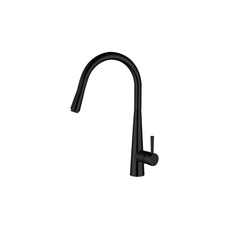 Kasper Pull-Out Kitchen Mixer Matte Black